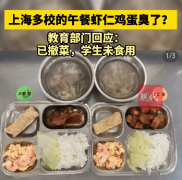 起底上海发臭校园餐公司：曾涉及健康权 